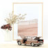 Norev 1:18 Peugeot 404 1965 Brown metallic with Caravan Hénon_